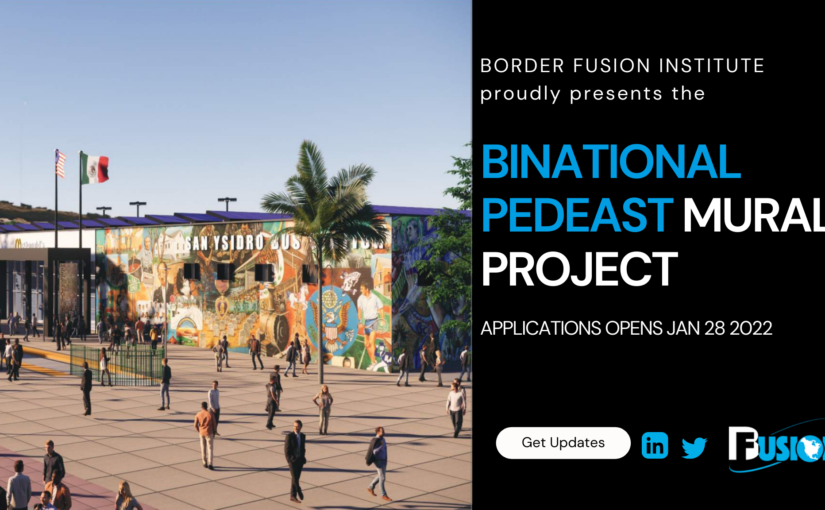 Border Fusion Institute Mural Project